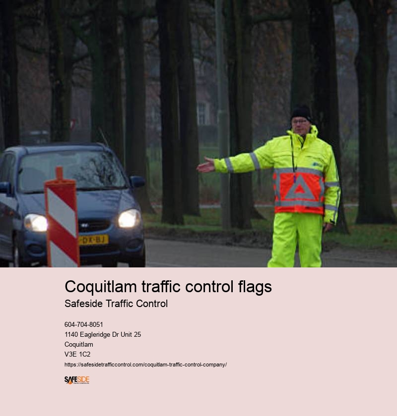 Pedestrian management training
